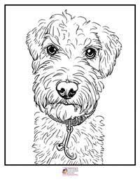 Dogs Coloring Pages 14B