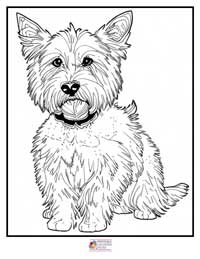 Dogs Coloring Pages 15B