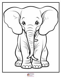 Elephant Coloring Pages 10B