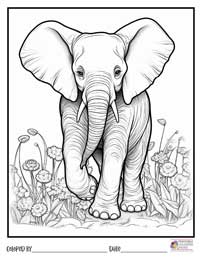 Elephant Coloring Pages 14 - Colored By