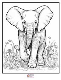 Elephant Coloring Pages 14B