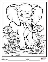 Elephant Coloring Pages 20 - Colored By
