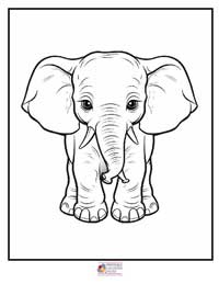 Elephant Coloring Pages 3B