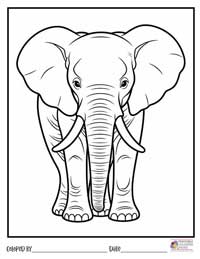 Elephant Coloring Pages 8 - Colored By
