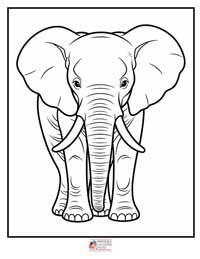 Elephant Coloring Pages 8B
