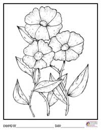 Flowers Coloring Pages 1 - Colored By