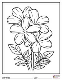 Flowers Coloring Pages 11 - Colored By