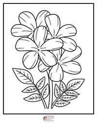 Flowers Coloring Pages 11B