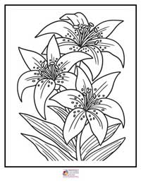 Flowers Coloring Pages 13B