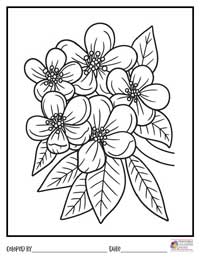 Flowers Coloring Pages 15 - Colored By