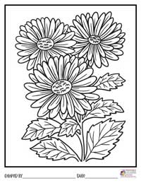Flowers Coloring Pages 16 - Colored By