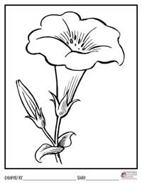 Flowers Coloring Pages 19 - Colored By