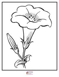 Flowers Coloring Pages 19B