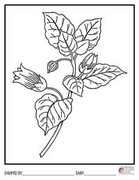 Flowers Coloring Pages 2 - Colored By