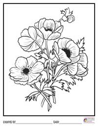Flowers Coloring Pages 20 - Colored By