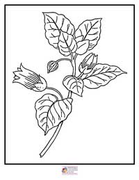 Flowers Coloring Pages 2B