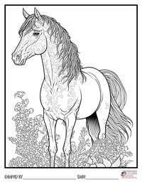 Horses Coloring Pages 10 - Colored By
