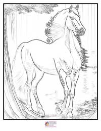 Horses Coloring Pages 17B