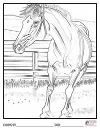 Horses Coloring Pages 18 - Colored By