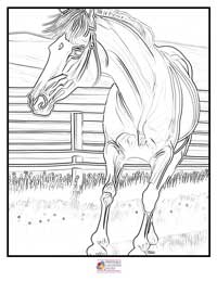 Horses Coloring Pages 18B