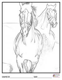 Horses Coloring Pages 19 - Colored By