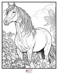 Horses Coloring Pages 1B