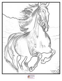 Horses Coloring Pages 10B