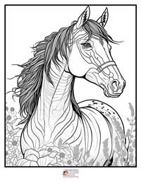 Horses Coloring Pages 2B