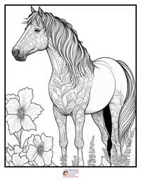 Horses Coloring Pages 3B
