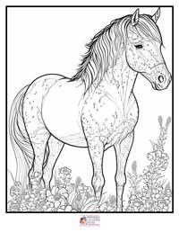 Horses Coloring Pages 4B