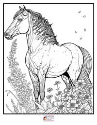 Horses Coloring Pages 5B