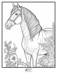 Horses Coloring Pages 6B