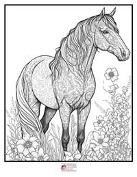 Horses Coloring Pages 7B