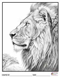 Lion Coloring Pages 1 - Colored By