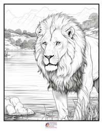 Lion Coloring Pages 10B