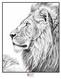 Lion Coloring Pages 1B