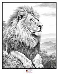 Lion Coloring Pages 2B