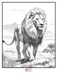 Lion Coloring Pages 3B