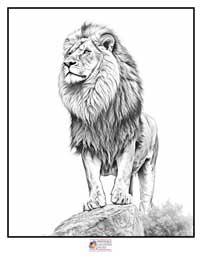 Lion Coloring Pages 4B