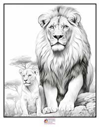 Lion Coloring Pages 7B
