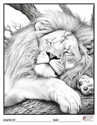 Lion Coloring Pages 8 - Colored By