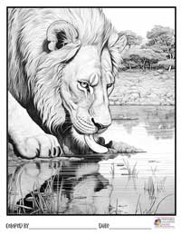 Lion Coloring Pages 9 - Colored By