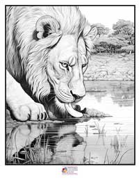 Lion Coloring Pages 9B