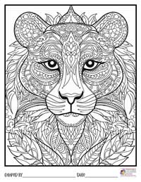 Mandala Coloring Pages 20 - Colored By