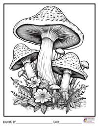 Mushrooms Coloring Pages 1 - Colored By