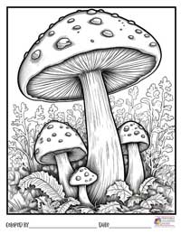 Mushrooms Coloring Pages 19 - Colored By