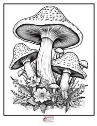 Mushrooms Coloring Pages 1B