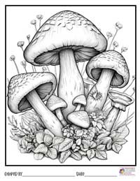 Mushrooms Coloring Pages 2 - Colored By