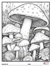 Mushrooms Coloring Pages 20 - Colored By