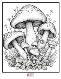 Mushrooms Coloring Pages 2B